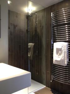 阿宾登佳酿宾馆的一间带水槽和玻璃淋浴的浴室