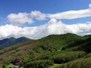 藏王温泉山阁罗山林小屋的绿色的山坡上,顶部有房子