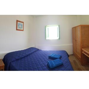 斯特龙博利Da Luciano的一间卧室配有一张带蓝色床单的床和一扇窗户。