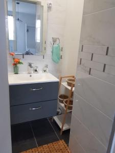 弗勒里莱欧布赖Superbe appartement de 41m2 en résidence privé的一间带水槽和镜子的浴室