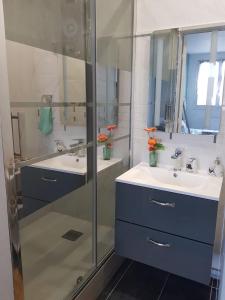弗勒里莱欧布赖Superbe appartement de 41m2 en résidence privé的一间带两个水槽和玻璃淋浴间的浴室