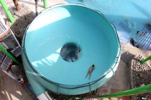 塔乌里托Hotel LIVVO Costa Taurito & Aquapark的水上乐园中带厕所的游泳池里的一个男人