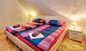 克拉尼斯卡戈拉Jacobs Resort House Kranjska Gora的一间卧室配有两张单人床和色彩缤纷的枕头