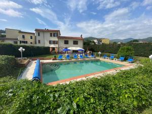 LuniVilla con piscina tra Versilia e Cinque Terre的一个带蓝色椅子的大型游泳池