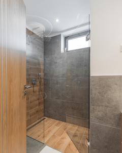 巴拉通雷勒H55的带淋浴的浴室和玻璃门