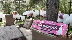 Shtarkelovo GnezdoVilla Anna Luxury Lake Residence的生日派对,有气球和一棵树