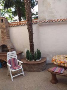 茨里克韦尼察Kuća za odmor Mery的一个带两把椅子和一张桌子的庭院和一棵棕榈树