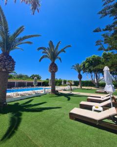 埃亚玛琳娜奈奇多Abella Hotel的一组躺椅和棕榈树,毗邻一个游泳池