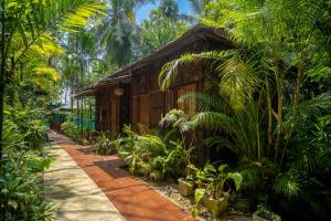 布莱尔港Palm Grove Eco Resort的相册照片