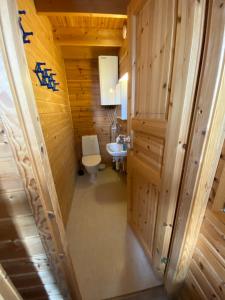 新考蓬基Santtioranta Camping的一间带卫生间和水槽的小浴室
