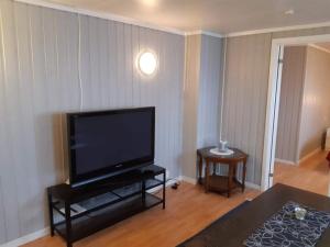 RøyrvikFjord side apartment的客厅配有大屏幕平面电视