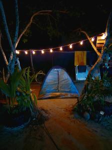 奥尔沃克斯岛Casa de los Santos Camping y eco cabañas的夜晚在院子里搭帐篷