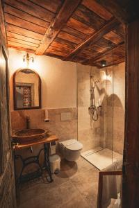 伊内乌Conacul Sfântul Sava Brancovici的浴室配有卫生间、盥洗盆和淋浴。