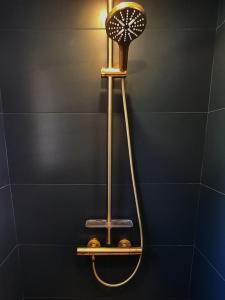 圣保罗-德旺斯Villa Martinus的带淋浴的浴室和墙上的风扇