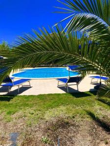 阿尔布斯Agriturismo Rocce Bianche - Porticato的一个带两把蓝色椅子和棕榈树的游泳池