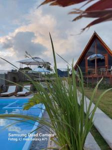 蒙蒂达斯加梅莱拉斯Cabanas Bouganville的一个带游泳池和房子的度假胜地