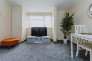 诺丁汉Cosy 2nd Floor Apartment - King Size Bed & Free Parking的客厅配有电视和植物桌子
