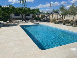 维拉塞加德索尔辛纳Mas Les Oliveres的庭院里的一个蓝色海水游泳池