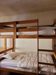 圣何塞德尔卡沃Desert Heart Hostel的宿舍间设有两张双层床和一张床。