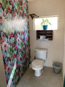 圣何塞德尔卡沃Desert Heart Hostel的浴室设有卫生间和花卉淋浴帘