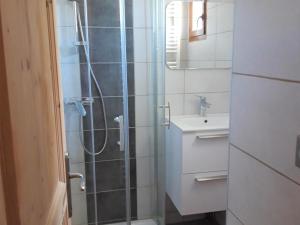 艾尔比蒙通Appartement Albiez-Montrond, 2 pièces, 5 personnes - FR-1-618-5的带淋浴和盥洗盆的浴室