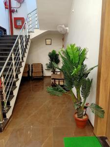 SheoganjSun Stone Hotel & Club - Jawai的走廊上设有楼梯和盆栽植物
