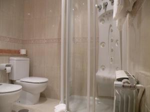 巴约讷罗姆铺拉丝酒店的带淋浴、卫生间和盥洗盆的浴室
