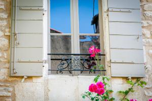 圣雷米普罗旺斯La Maison du Village的花卉阳台的窗户