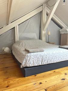 克莱蒙费朗La Maison Blatin的一间卧室配有一张铺有木地板的床。