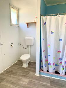 朱里恩湾Cottage 55 - Topspot Cottages的一间带卫生间和淋浴帘的浴室