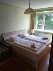 韦尔特湖畔克伦彭多夫Evita Wörthersee的卧室配有一张大白色床和窗户