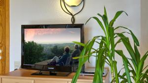 巴登韦勒Haus Ulrike-Maria的桌子上放置着一台带植物的平面电视