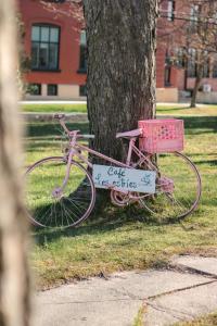 梅戈格Auberge de Jeunesse Magog-Orford Hostel的停在树旁的粉红色自行车