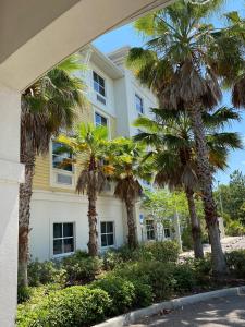 棕榈海岸Palm Coast Hotel & Suites-I-95的一座棕榈树建筑