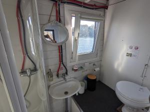 柏林Gemütliches Hausboot mit Kamin in Berlin的一间带卫生间、水槽和镜子的浴室