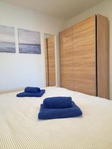 木洛希尼Apartment House Bucul的床上的2个蓝色枕头