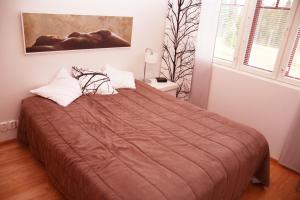 塔库沃里Apartments Tähtitahko的一间卧室配有一张带棕色毯子的大床