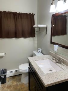 Allegany新灯笼汽车旅馆的一间带水槽、卫生间和镜子的浴室