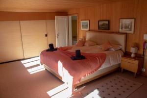 格林德尔瓦尔德Chalet Caroline的一间卧室,卧室内配有一张大床
