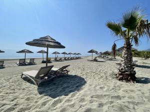 波吉奥· 梅扎纳维拉奇度假酒店的海滩上摆放着椅子和遮阳伞,还有棕榈树