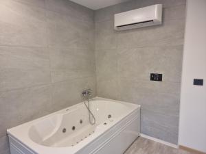 贝尔格莱德Swan的带淋浴的浴室配有白色浴缸。