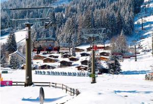 弗拉绍Appartements Oberhof的雪地滑雪胜地,带滑雪缆车