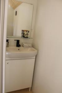 FloreffeLa Roulotte Viticole - sauna - toilette sèche的浴室设有白色水槽和镜子