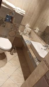 雅西阿斯托利亚市中心酒店的一间带卫生间和水槽的浴室
