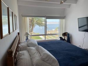 帕拉卡斯Beachfront, 4BR, entire house in Paracas的一间卧室设有一张大床,享有海景