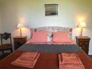 La Tour-sur-OrbDomaine de Montbarri的一间卧室配有一张带两个粉红色枕头的床