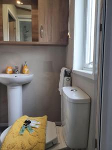 杰德堡Beautiful Borders Cabin的浴室配有白色卫生间和盥洗盆。