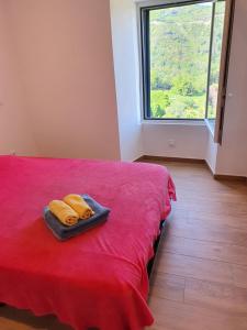 PorriEnglish Club in Corsica B&B的一间卧室配有红色的床和两个黄色枕头