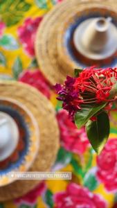 帕拉库鲁Paracuru Kitefriends Lux Pousada的坐在五彩缤纷的桌子上的一个花