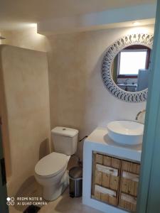 普希里阿莫斯Island Apartments的一间带卫生间、水槽和镜子的浴室